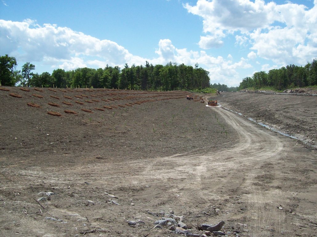 Sotramex - Plantation - Gazon - Revégétation